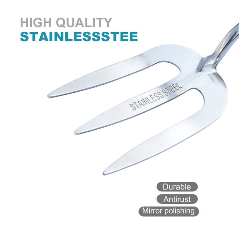 product-1-1 hand fork stainless head