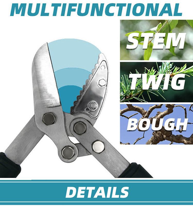 Garden bypass lopper function Garden bypass lopper function