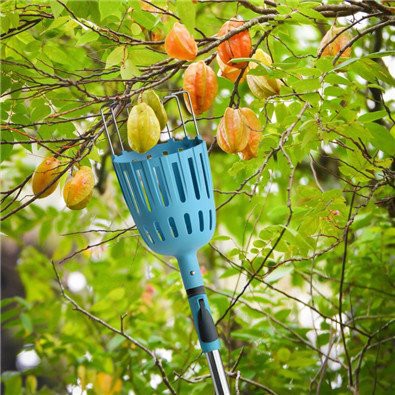 product-395-395 Pick up fruit picker pole with basket