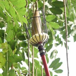 আপেল সংগ্রহ করার সময় আমার কী মনোযোগ দেওয়া উচিত?