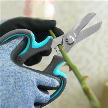 শুরু হচ্ছে ফুলের বাগান