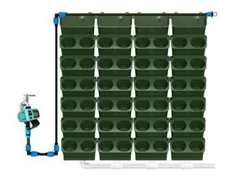 জল-শোষণকারী ফুলের পাত্র