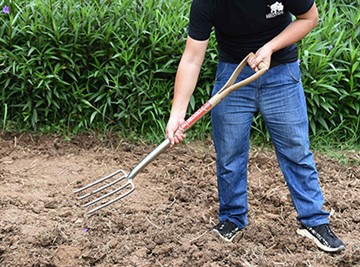 রাশিয়ান বাগান সংস্কৃতির সংক্ষিপ্ত পরিচিতি
