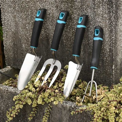 বাগান রোপণ ডায়েরি -2