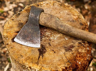 গাছ কাটার সরঞ্জাম এবং নিরাপত্তা গিয়ার