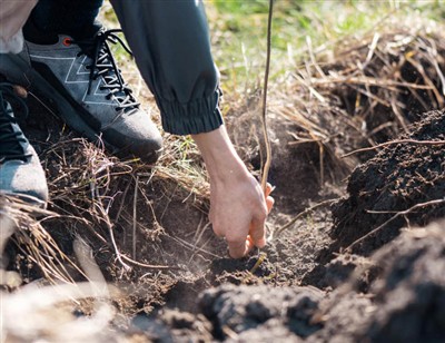 শিকড়ের মাধ্যমে খনন করার জন্য কৌতুকপূর্ণ পদক্ষেপ