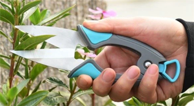 Secateurs এবং Pruners