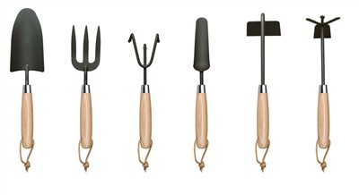 বাড়িতে টমেটো রোপণ