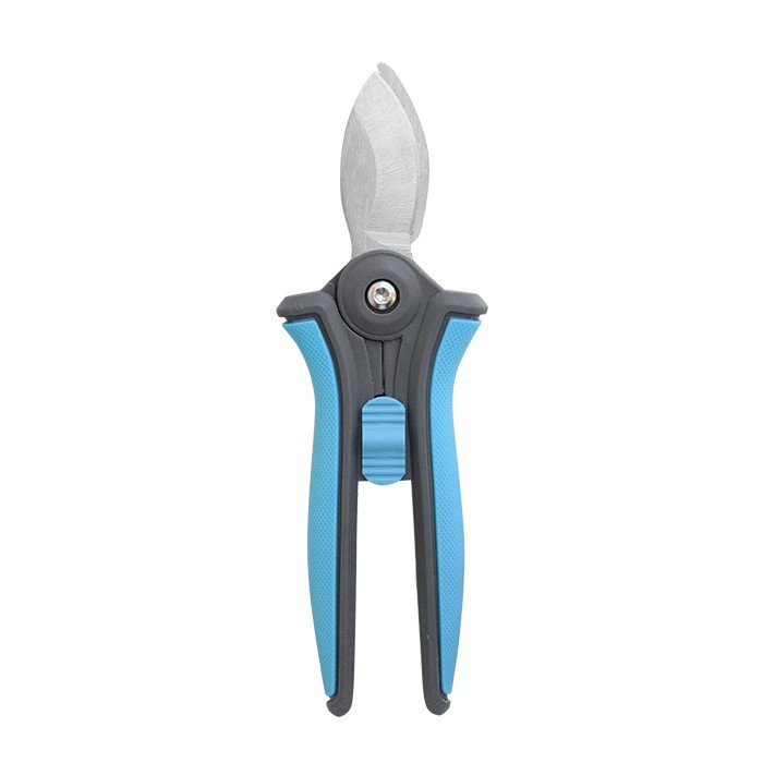 ছোট বাইপাস Secateurs