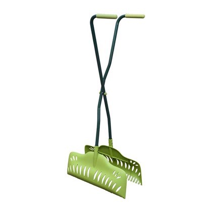 বাগান পাতার দখলকারী