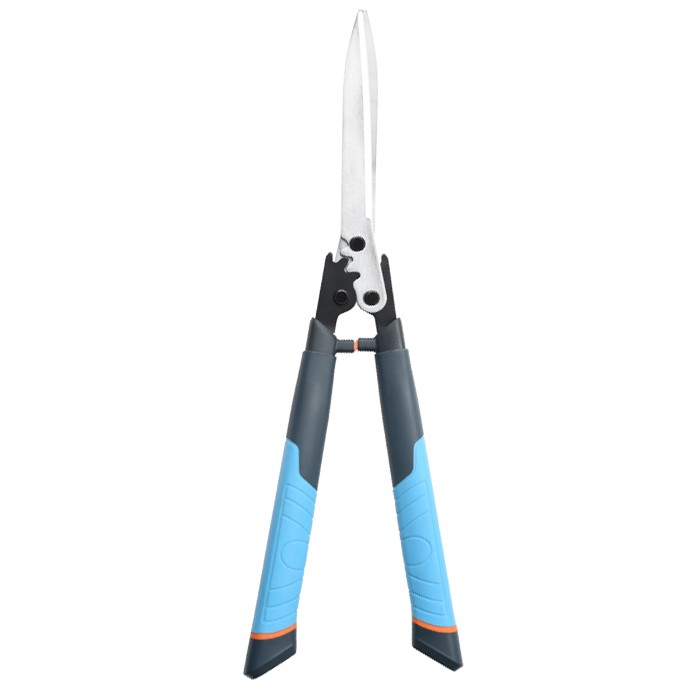 গুল্মের জন্য ক্লিপারস