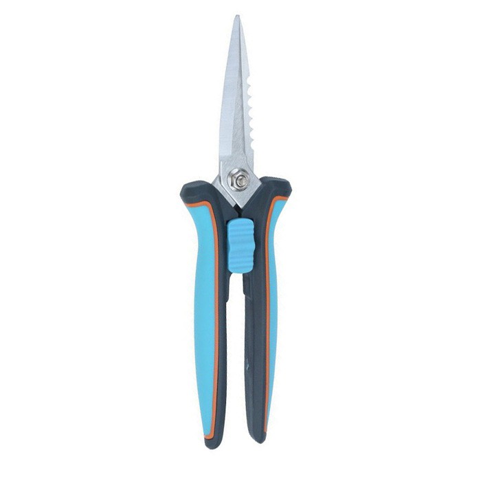 বাগান ছাঁটাই কাঁচি