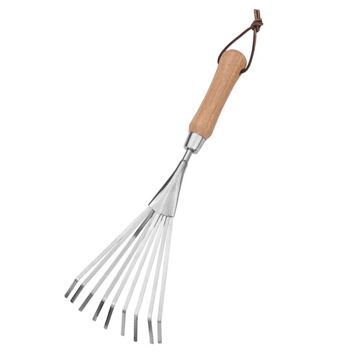 হ্যান্ড ফ্যান রেক