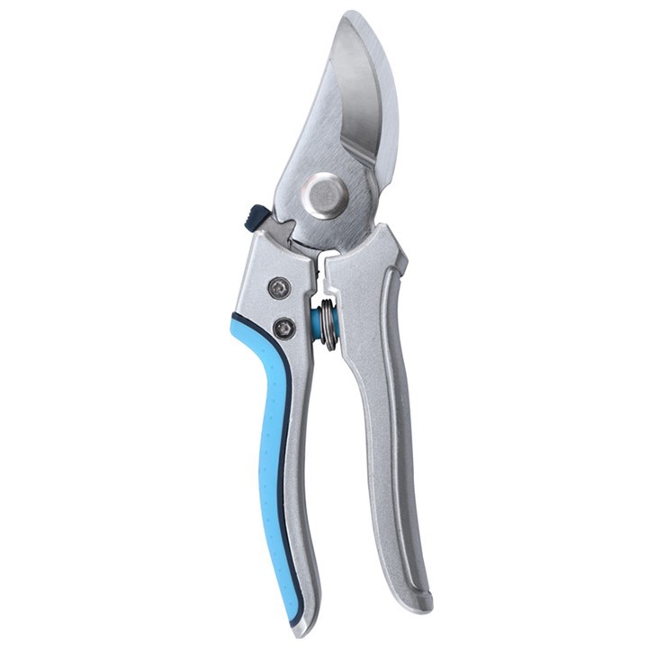 উচ্চ মানের ছাঁটাই শিয়ার