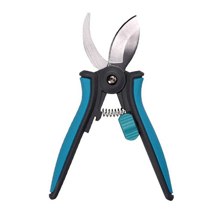 হাউসপ্ল্যান্ট প্রুনার