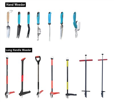 সবুজ চাষ করা: আপনার বাগানে স্থায়িত্ব গ্রহণ করা