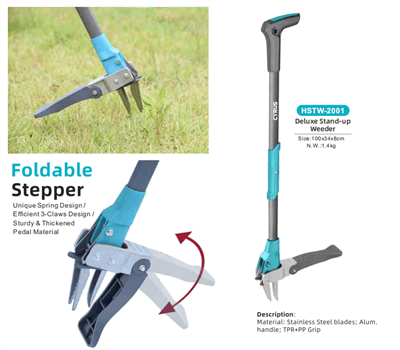 সারা বিশ্বে মধ্য-শরতের উৎসব উদযাপন: ঐতিহ্য ও বাগানের সরঞ্জামগুলির একটি সম্প্রীতি