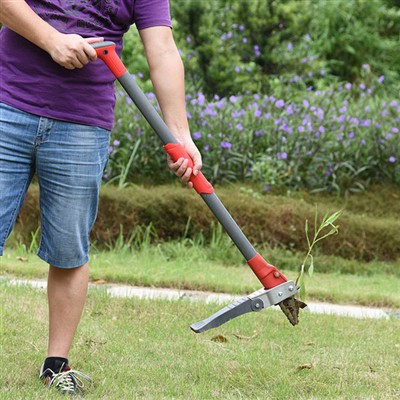 নমন ছাড়া আগাছা অপসারণ কিভাবে?