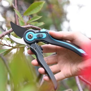 Best Bypass Secateurs Best Bypass Secateurs