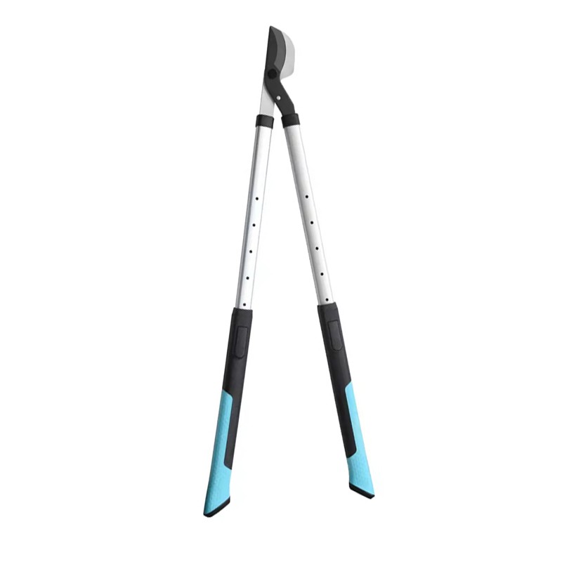 দীর্ঘ পরিচালিত লোপার্স