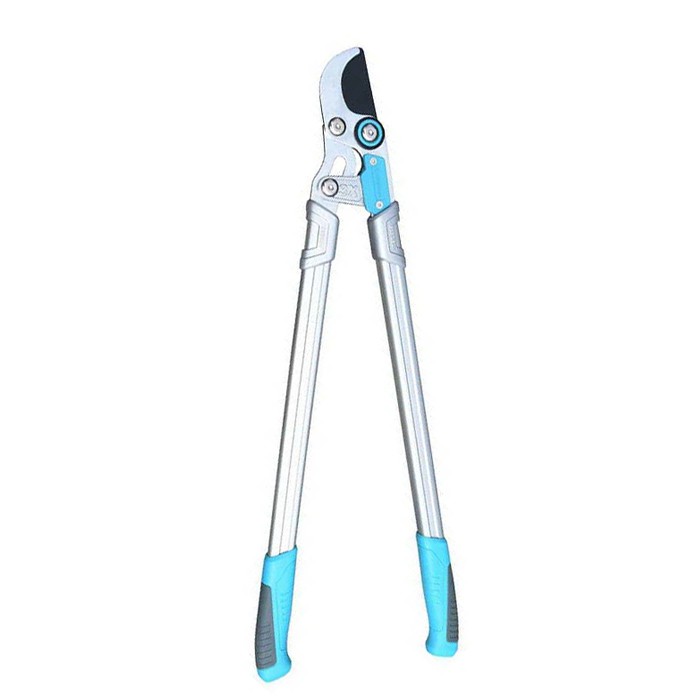 লোপিং ছাঁটাই শিয়ার্স