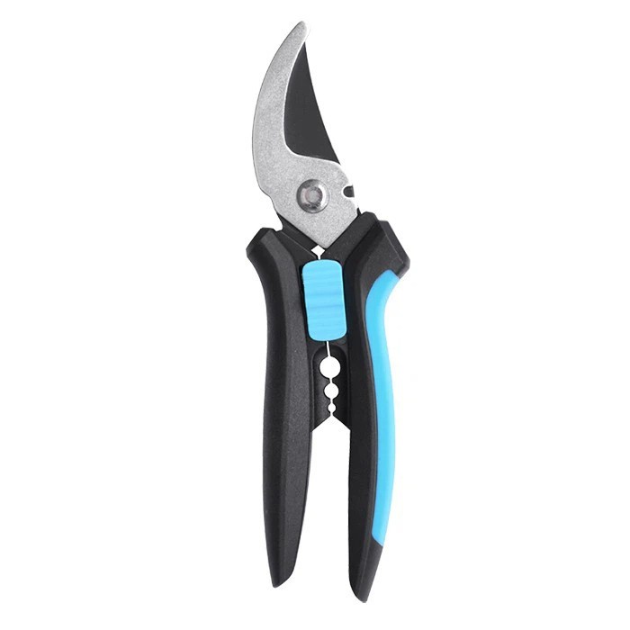 পেশাদার গোলাপ প্রুনার