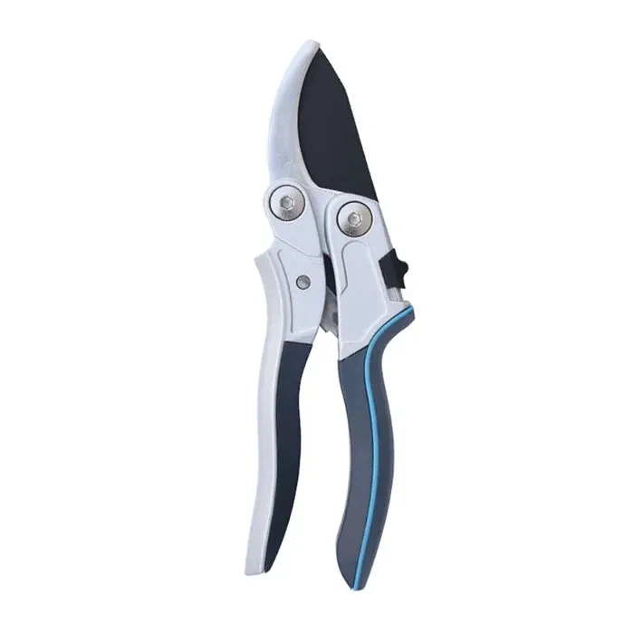 ছাঁটাই Secateurs