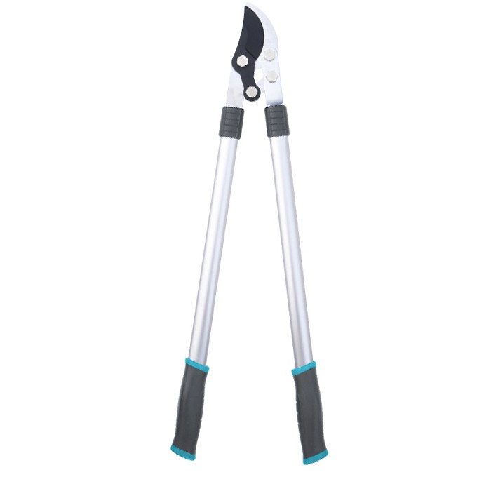 র্যাচেট গার্ডেন লোপার্স